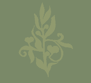 Christopher Semmens, Clinical Psychologist